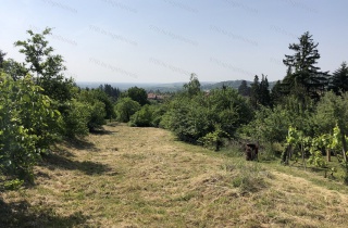 Eladó építési telek Kőszegen